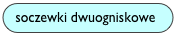 soczewki dwuogniskowe
